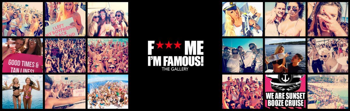 f**** me i'm famous banner